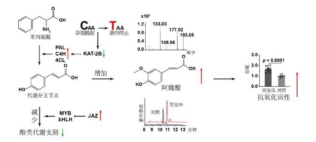 复旦3月科研成果一览来了 _ 科研速递