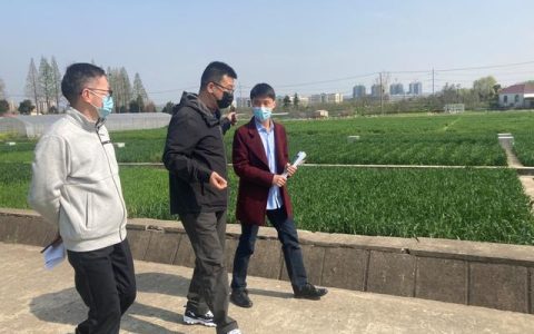 玄武审计：关注农业科研用地 助力土地高效利用