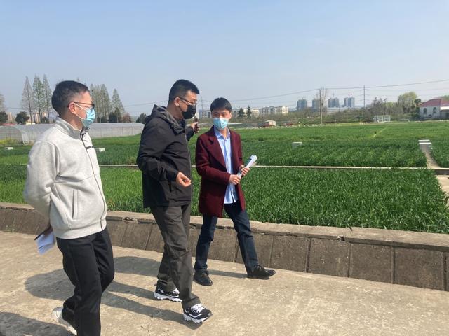 玄武审计：关注农业科研用地 助力土地高效利用