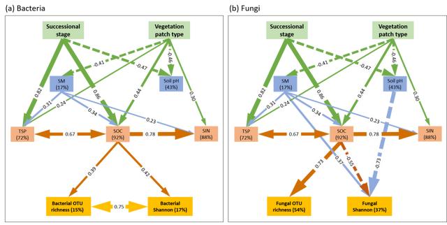 我区科研团队发现土壤微生物在沙地生态系统恢复发挥重要作用