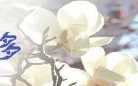 【前沿】高质量科研成果 赋能医院高质量发展 _ 第2期