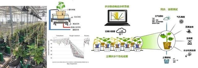 祝贺！国家重点研发计划+1！