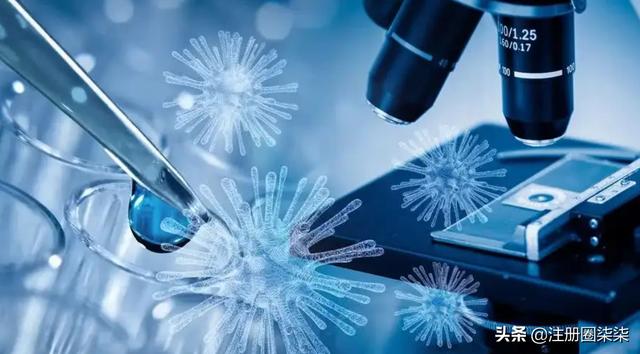 生物药的研发与申报流程
