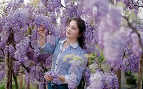 身边的好教师 书写芙蓉“样范”｜蓉园小学罗美文：把爱和美的种子播撒进学生心田