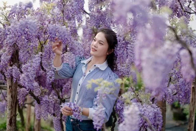身边的好教师 书写芙蓉“样范”｜蓉园小学罗美文：把爱和美的种子播撒进学生心田